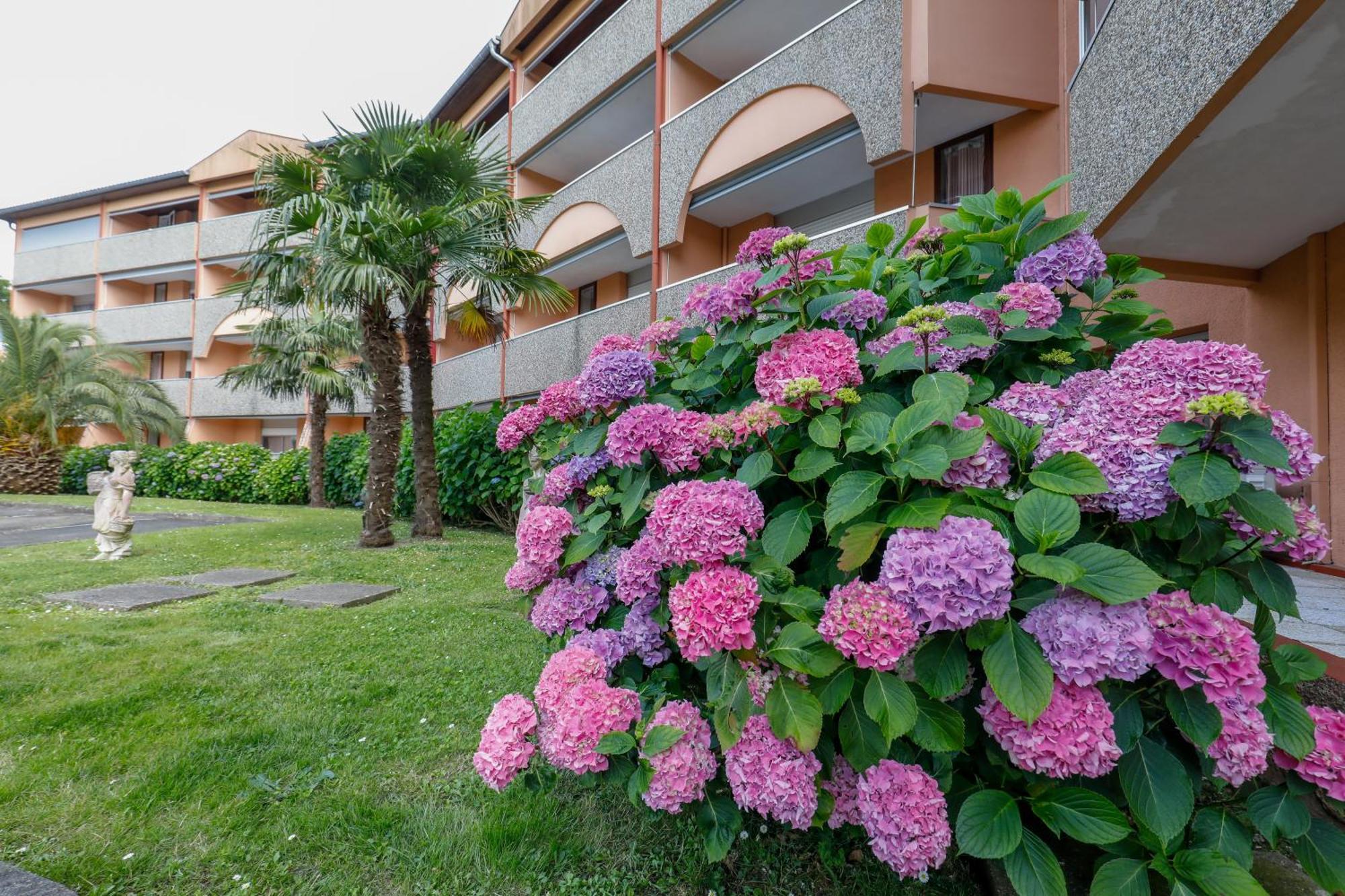 Hotel Les Terrasses De Borda*** Dax Esterno foto